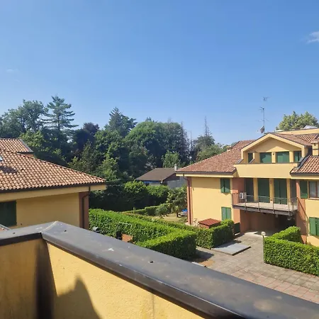 Modern Viggi
