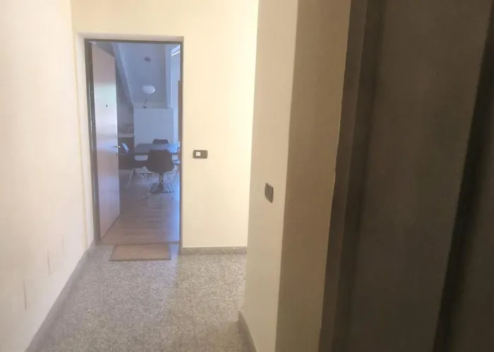 Modern Viggi *